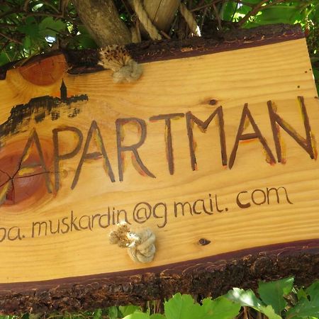 Apartman Biba Lubenice Exteriér fotografie